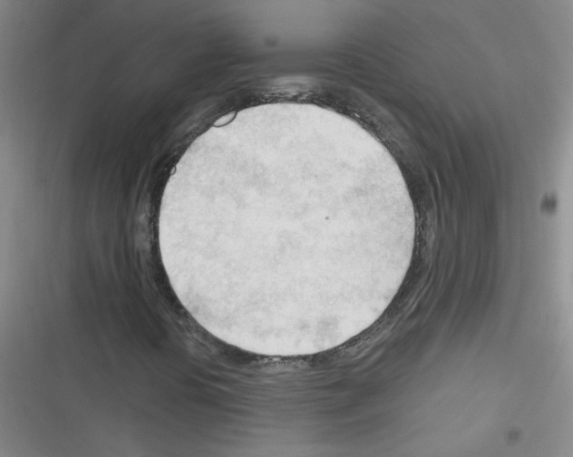 X0000116341394201001131035