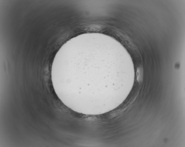 X0000116341395201001131035