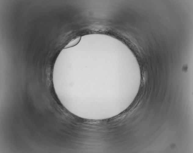 X0000116341396201001131035