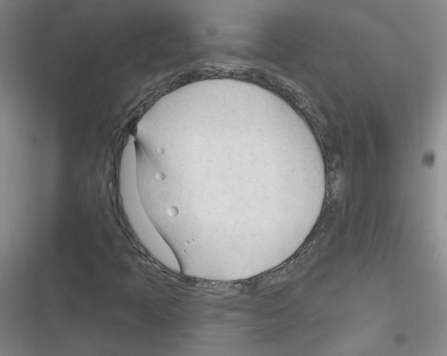 X0000116341397201001131035