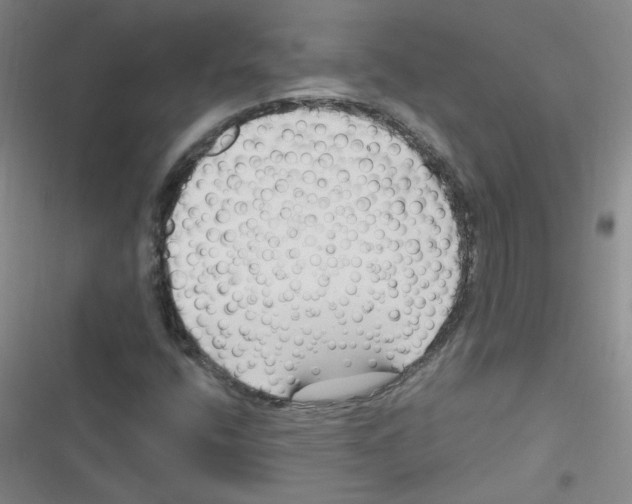 X0000116341400201001131035