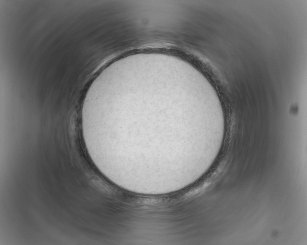 X0000116341401201001131035