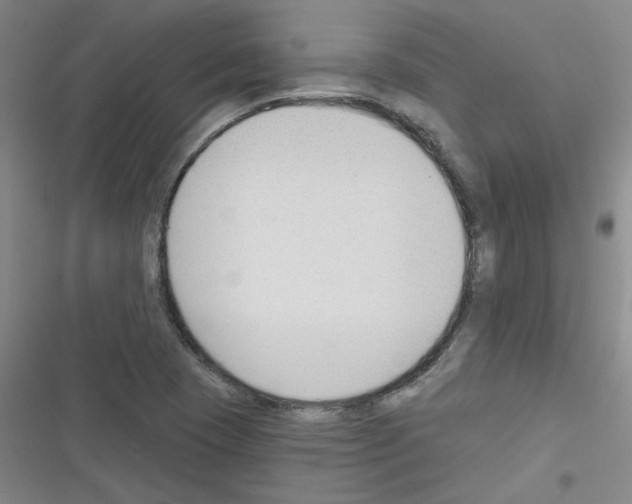 X0000116341409201001131036