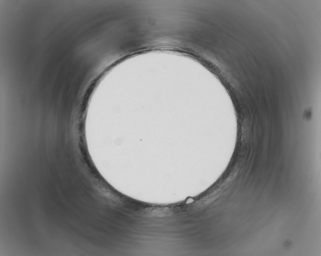 X0000116341410201001131036