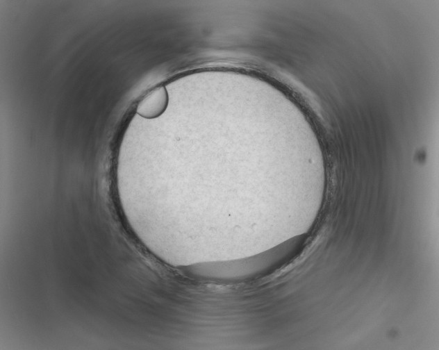 X0000116341411201001131036