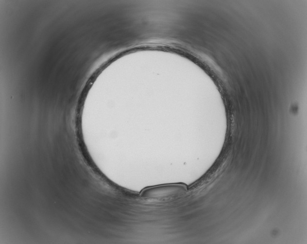 X0000116341412201001131036