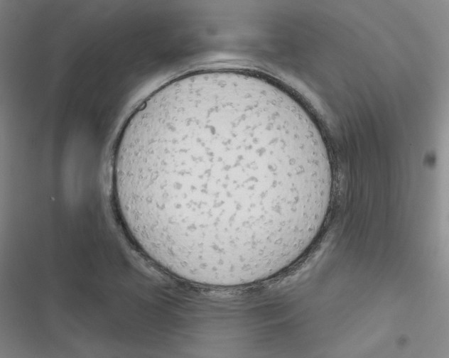 X0000116341413201001131036