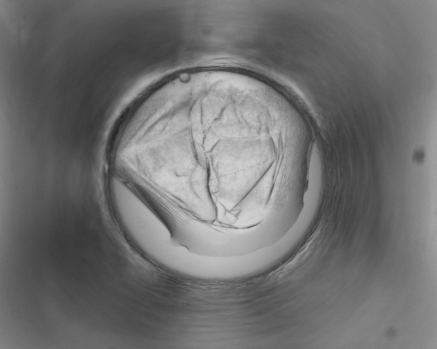 X0000116341414201001131036