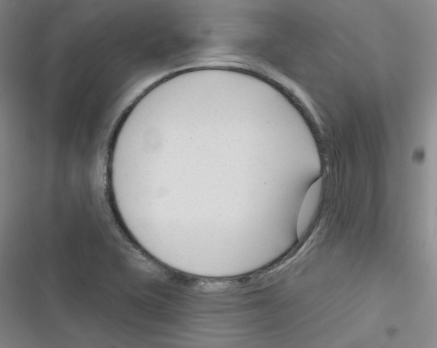 X0000116341415201001131036