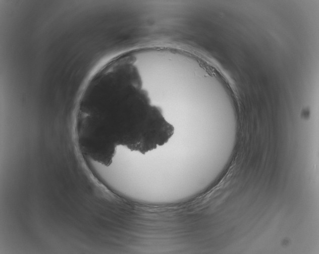 X0000116341416201001131036