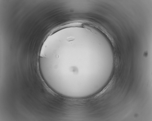 X0000116341417201001131036