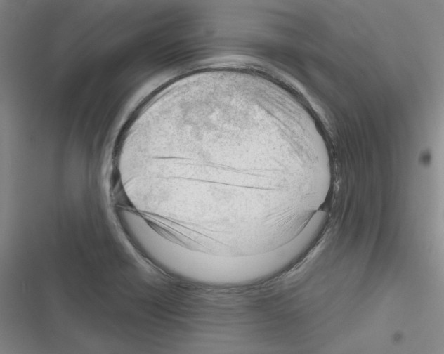 X0000116341418201001131036