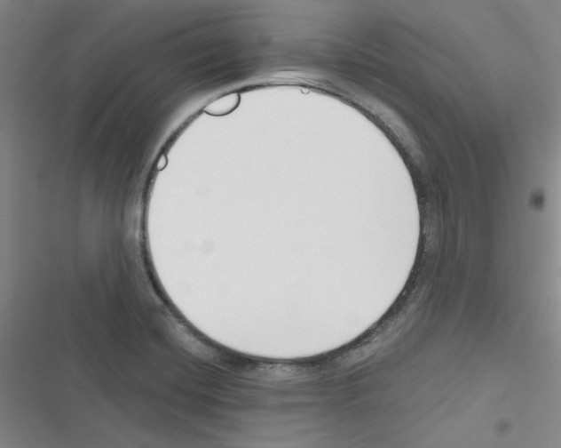 X0000116341420201001131036