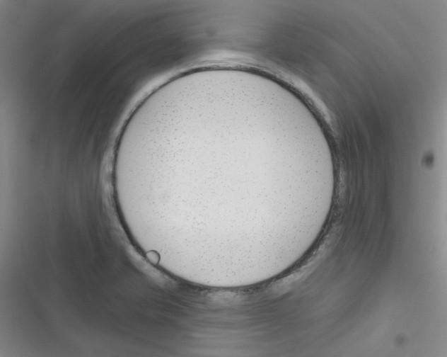 X0000116341421201001131036