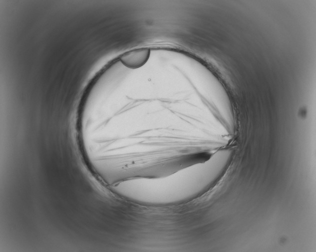 X0000116341422201001131036