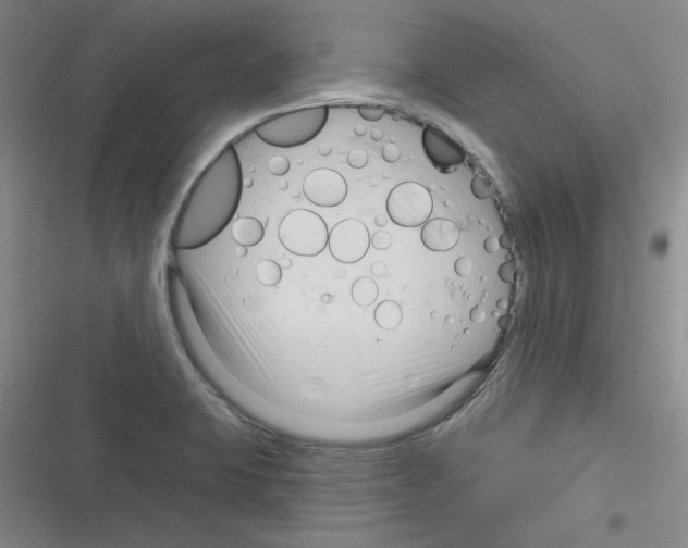 X0000116341423201001131036