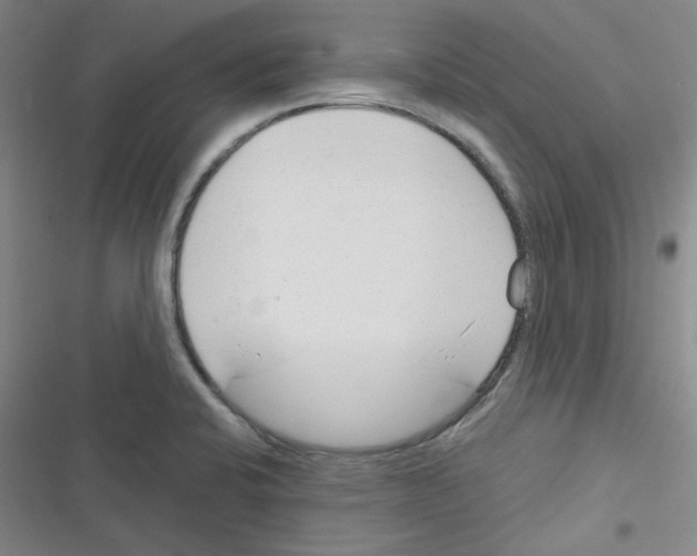 X0000116341424201001131036