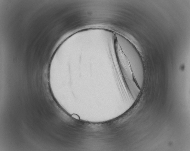 X0000116341428201001131036