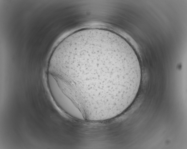 X0000116341429201001131036