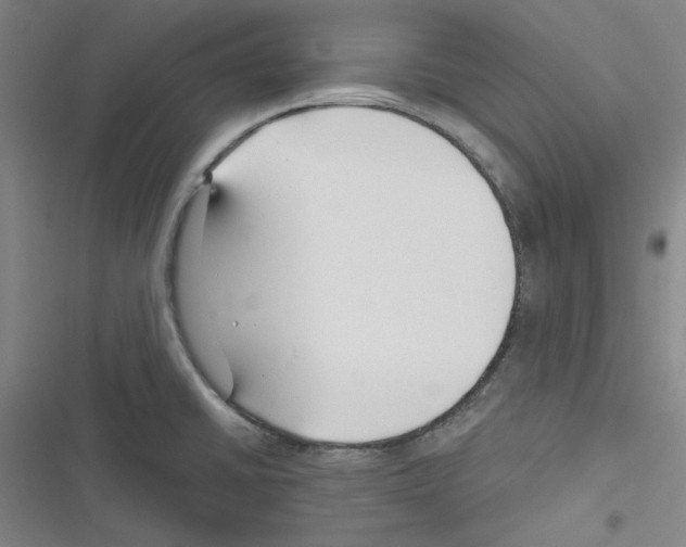 X0000116341430201001131036