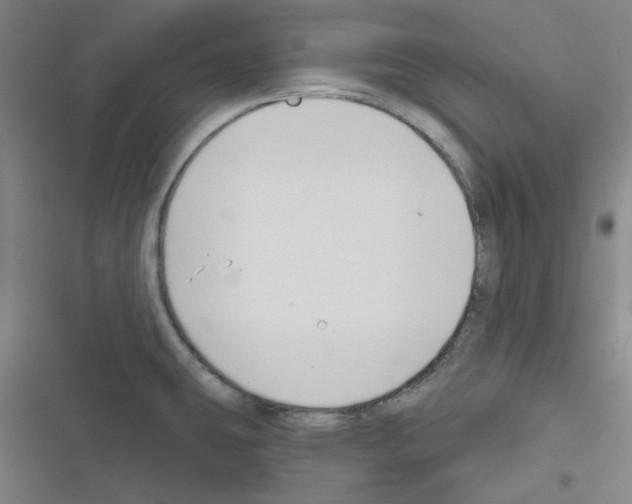 X0000116341431201001131036