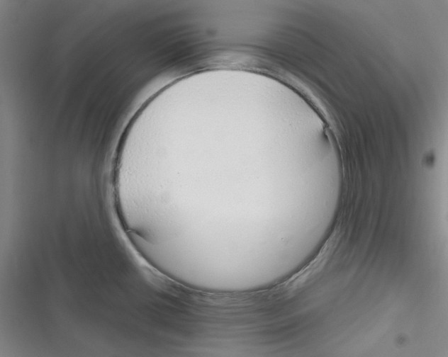 X0000116341434201001131036