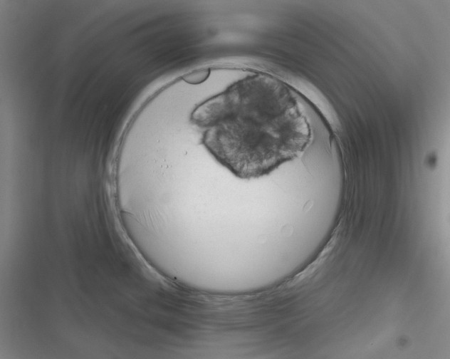 X0000116341436201001131036