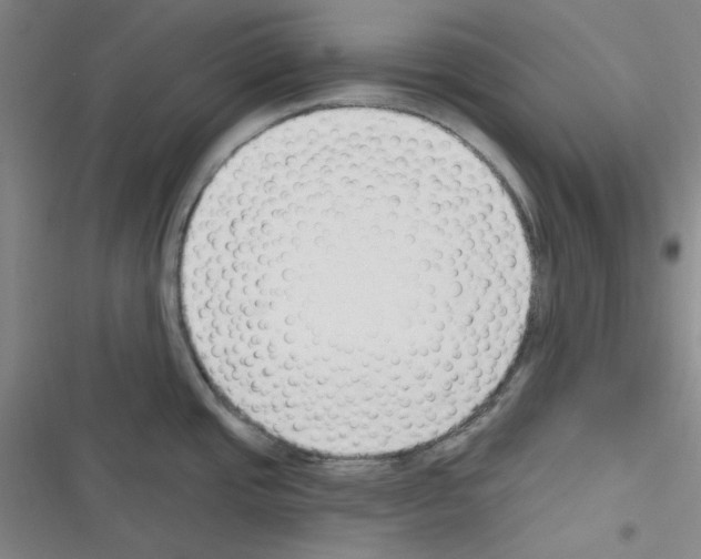 X0000116341437201001131036