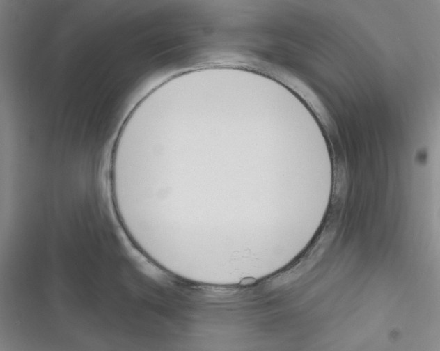 X0000116341439201001131036