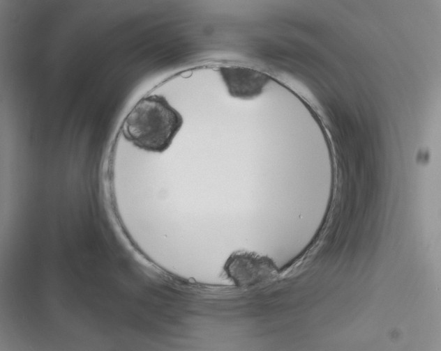 X0000116341440201001131036