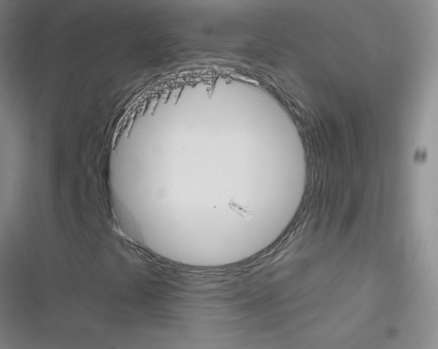 X0000116341441201001131035