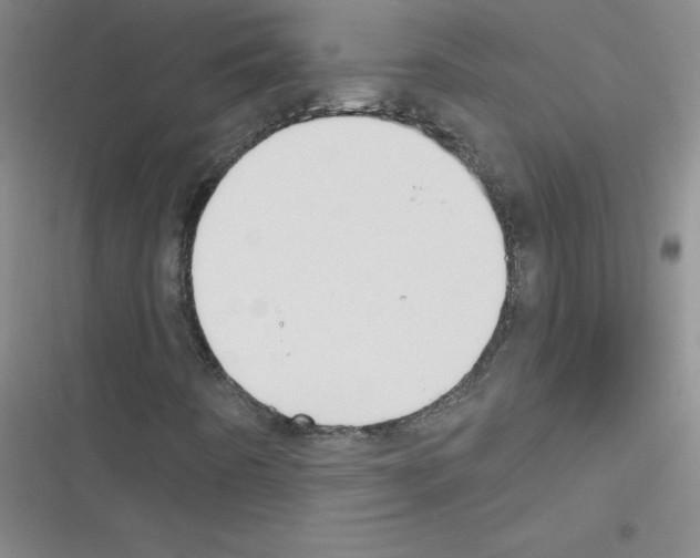 X0000116341442201001131035