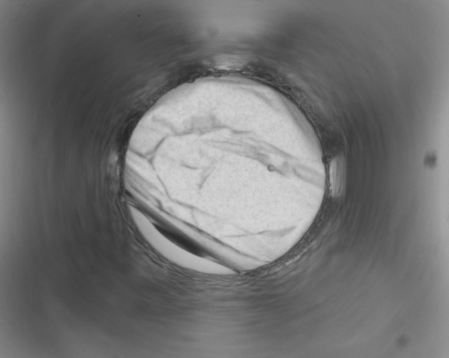 X0000116341443201001131035