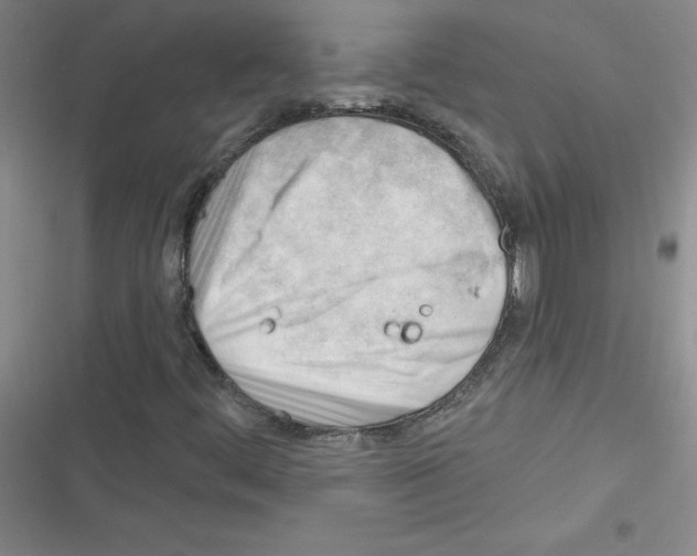 X0000116341444201001131035