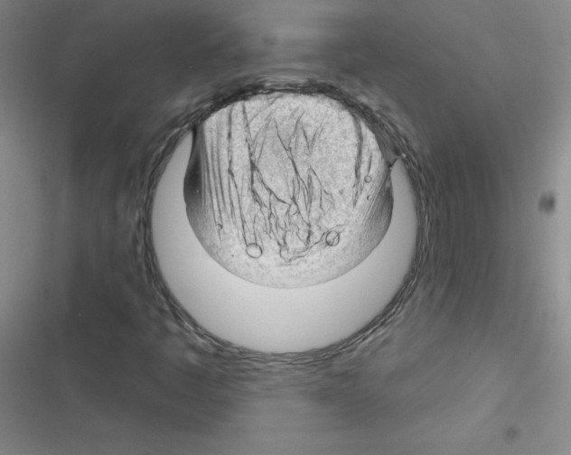 X0000116341445201001131035