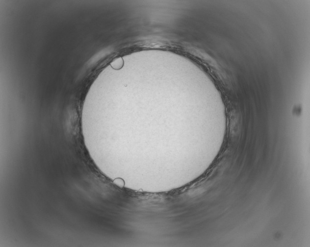 X0000116341446201001131035