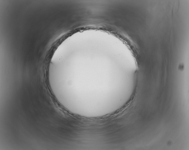 X0000116341448201001131035