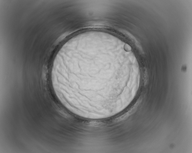 X0000116341449201001131035