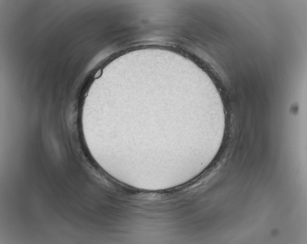 X0000116341450201001131035