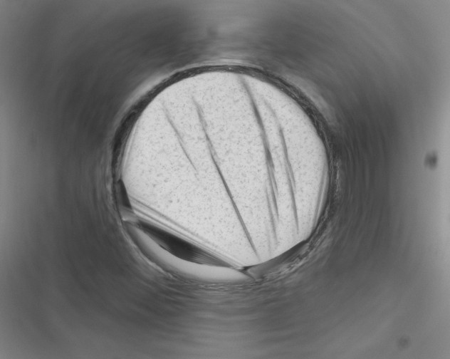 X0000116341452201001131035