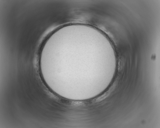 X0000116341454201001131035