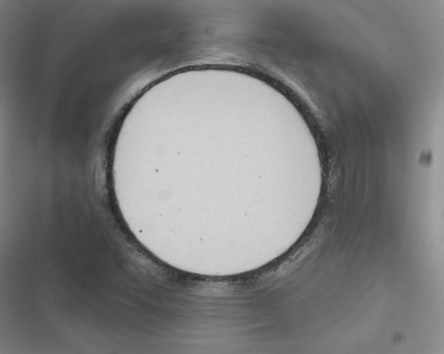 X0000116341455201001131035