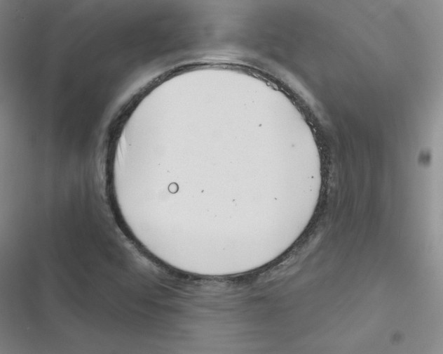 X0000116341456201001131035