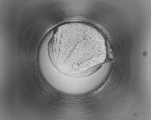 X0000116341457201001131035