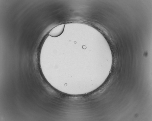 X0000116341458201001131035