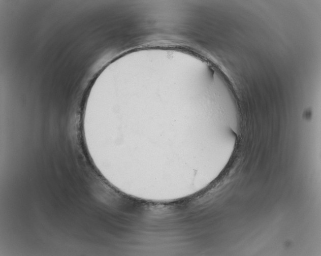 X0000116341459201001131035