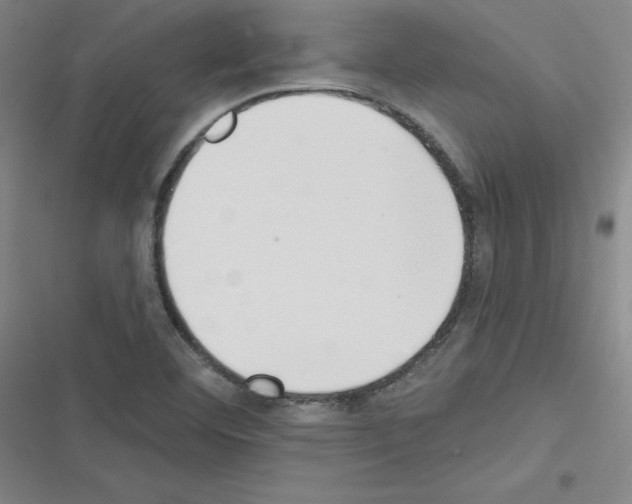 X0000116341460201001131035