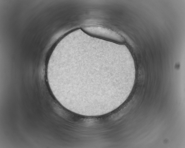 X0000116341461201001131035