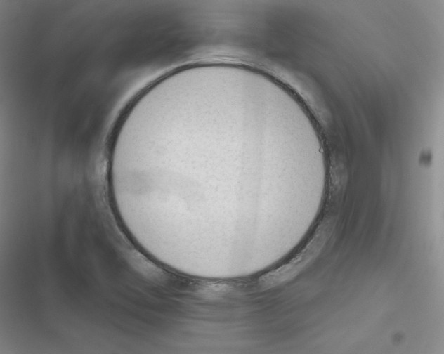 X0000116341462201001131035