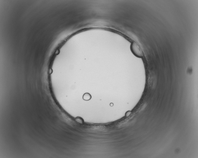 X0000116341464201001131035